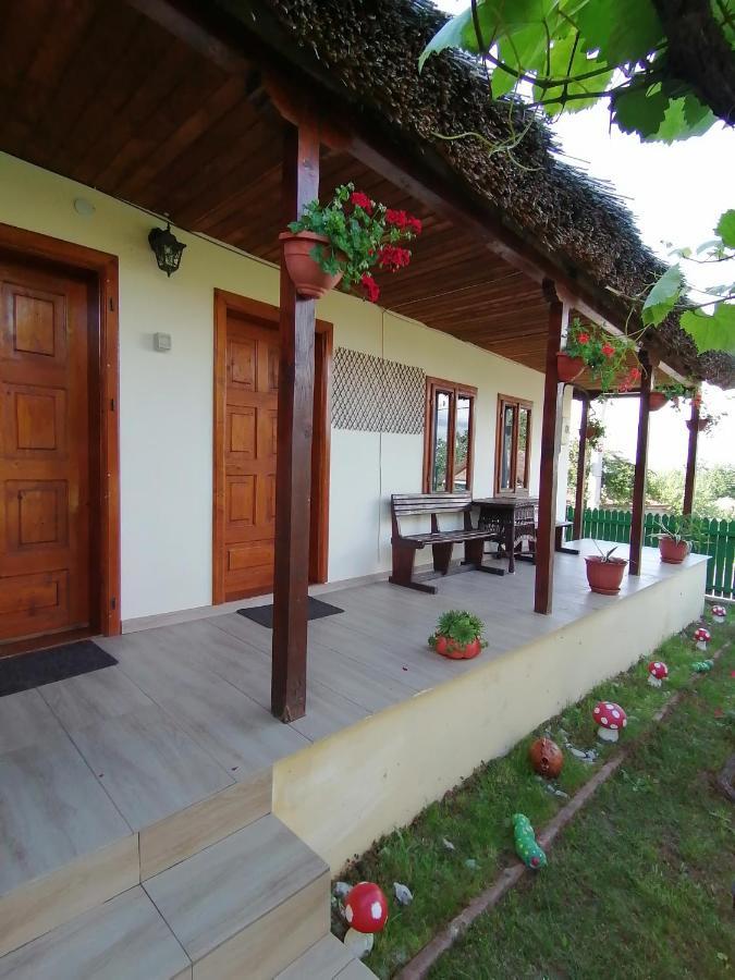 Casa Adi Si Maria Hotel Mahmudia Exterior photo