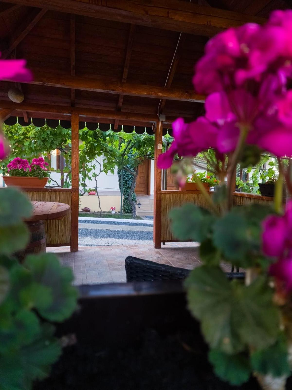 Casa Adi Si Maria Hotel Mahmudia Exterior photo